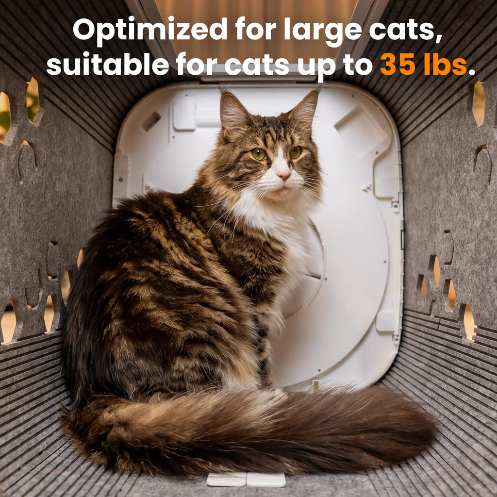 Cat Self Groomer Plus 360 Brush Fur Collector for Large Cats