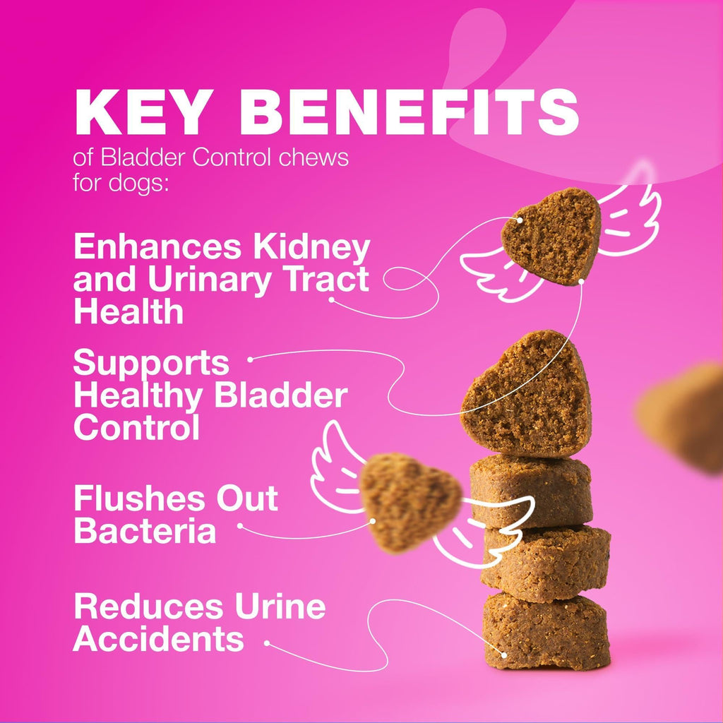 Dog UTI Treatment Cranberry Supplement Bladder & Kidney Health