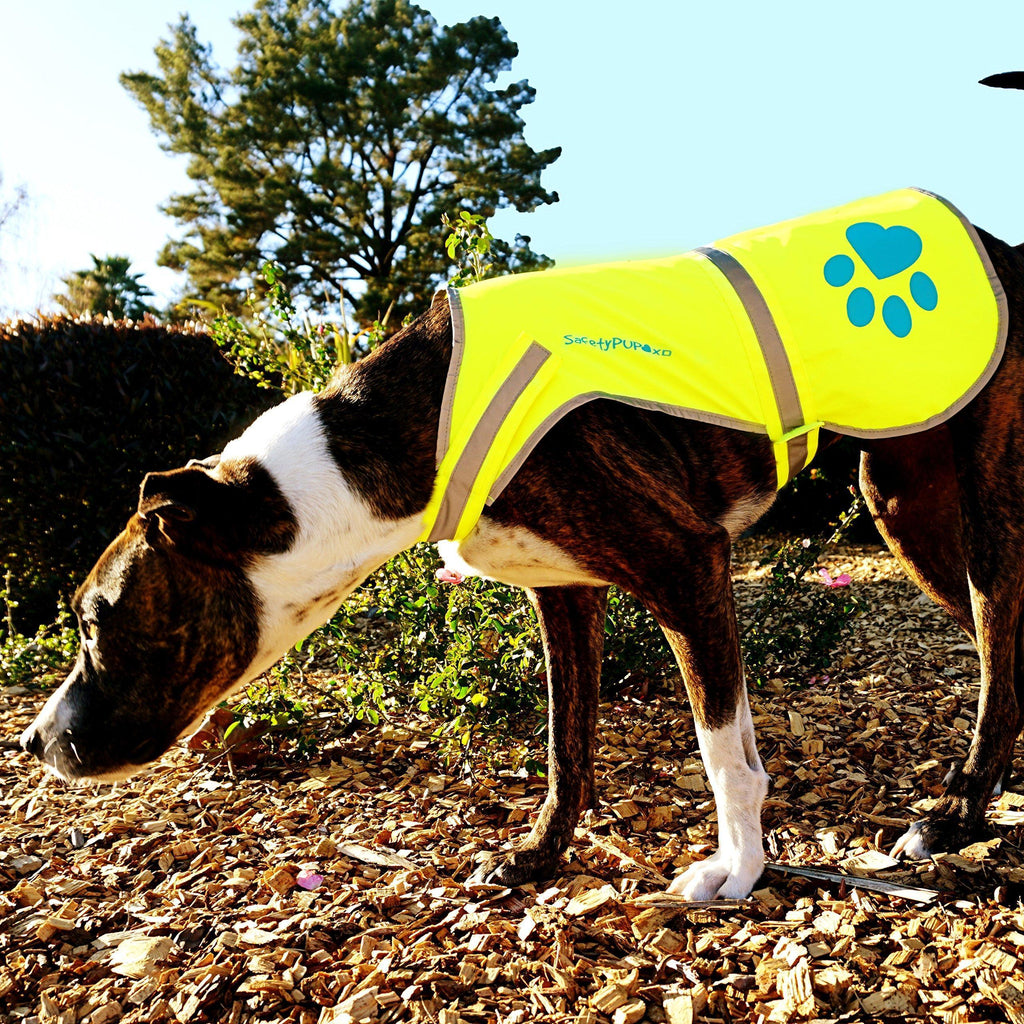 Reflective Dog Safety Vest Hi-Vis XS Size Yellow