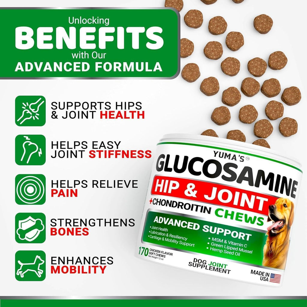 Glucosamine for Dogs 2-Pack Chondroitin Joint Pain Relief