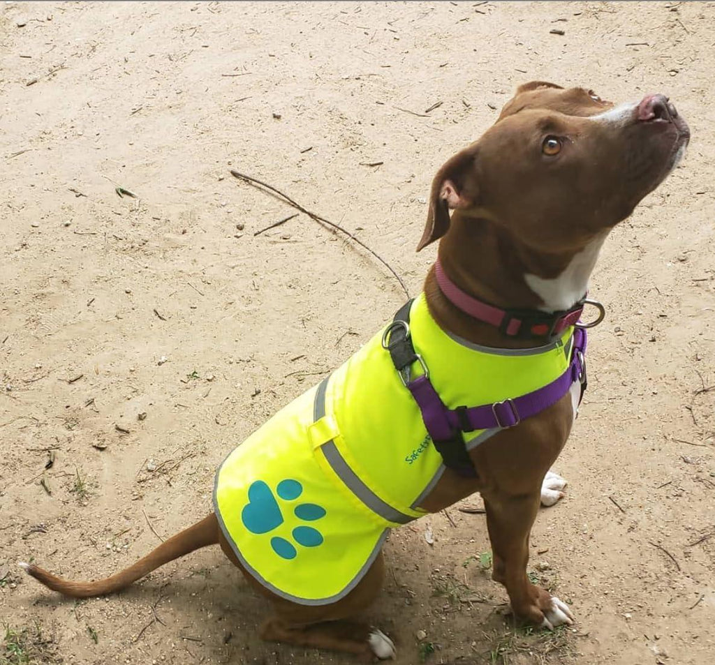 Reflective Dog Safety Vest Hi-Vis XS Size Yellow