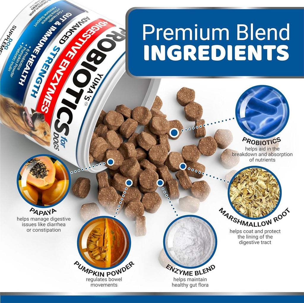 Probiotics for Dogs 340 Count 2-Pack Digestive Enzymes