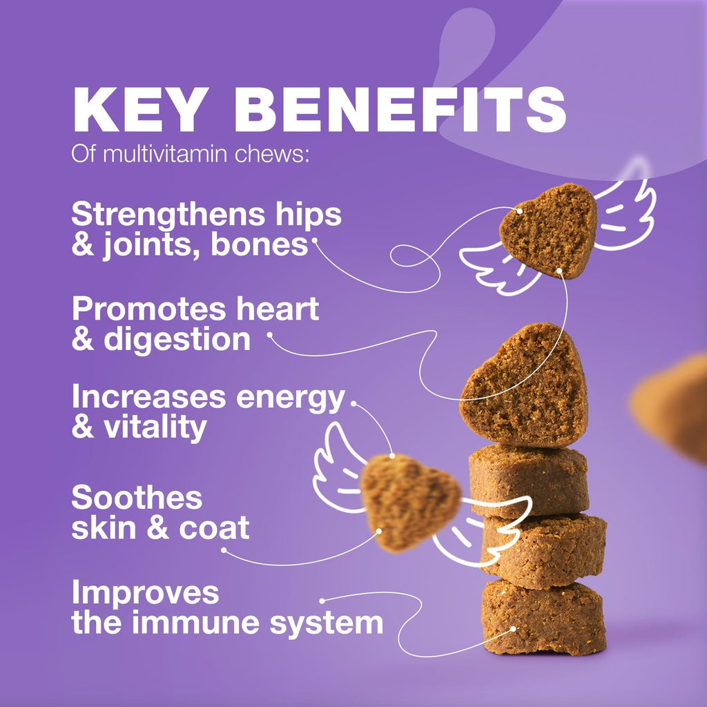 Dog Multivitamin Chews 15-in-1 MSM Hip & Joint Health
