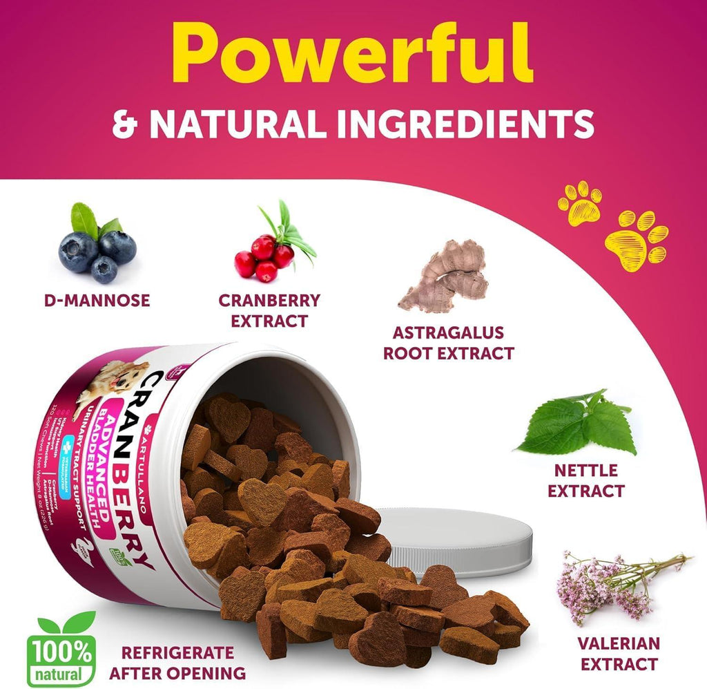 Dog UTI Treatment Cranberry Supplement Bladder Control
