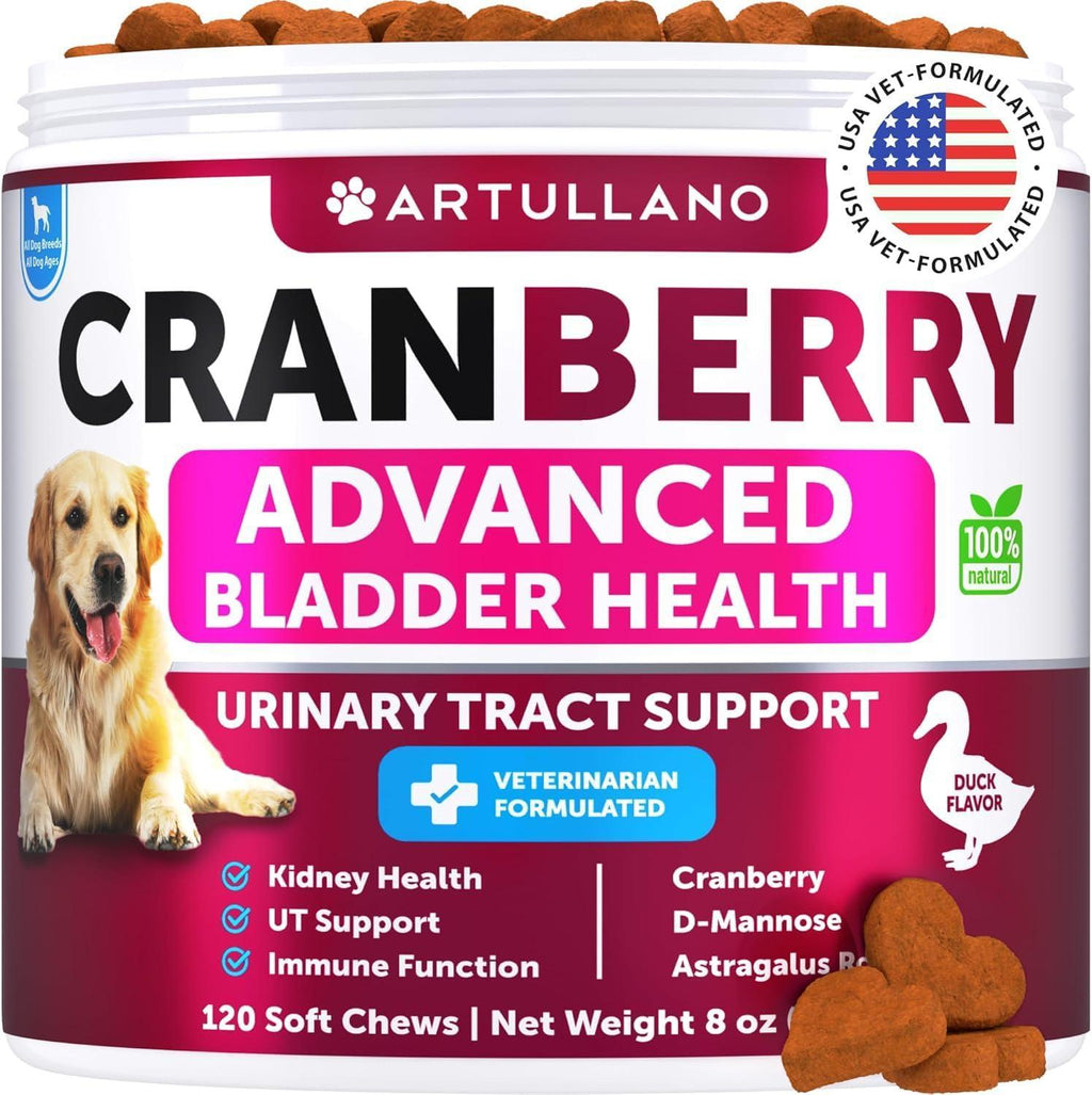 Dog UTI Treatment Cranberry Supplement Bladder Control
