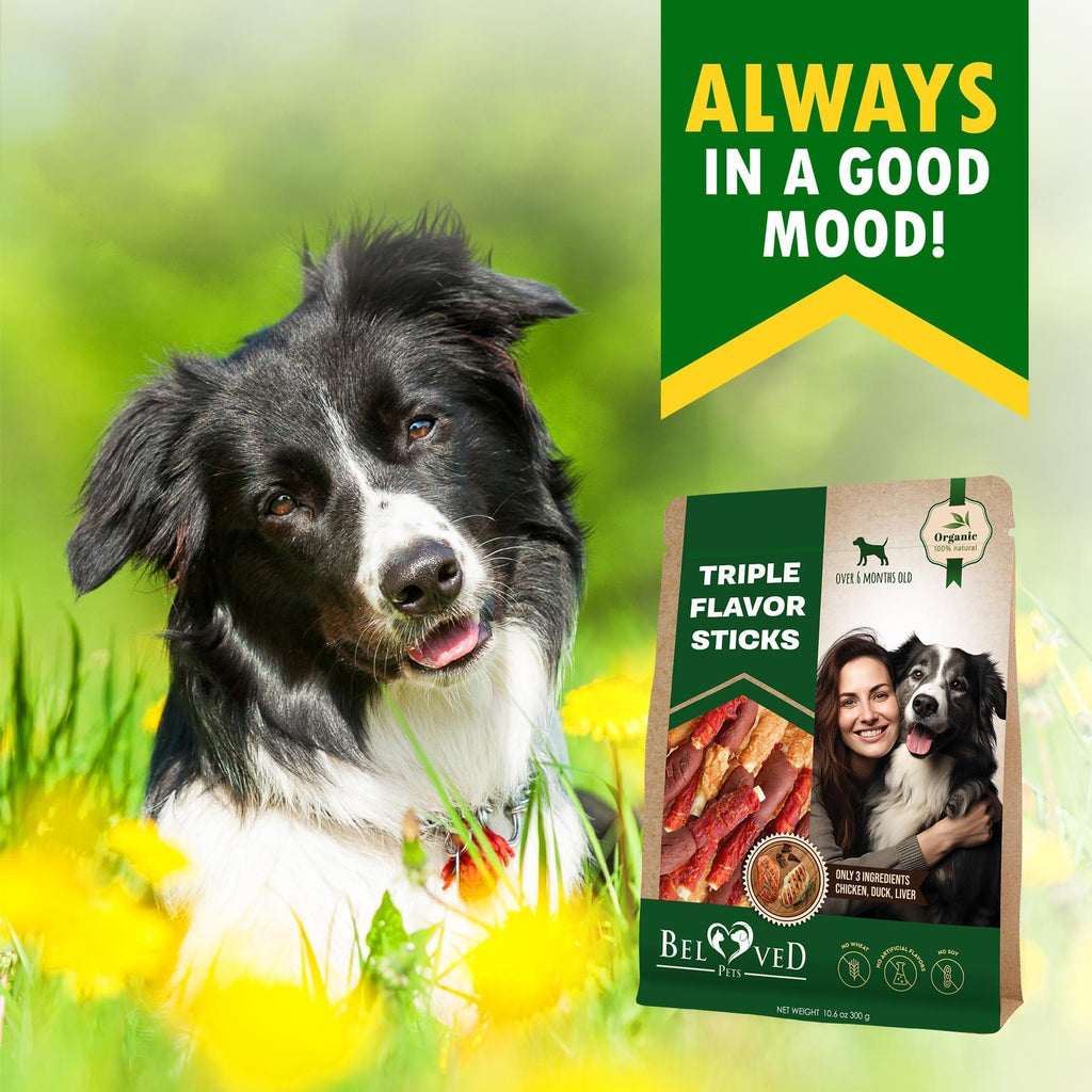 Rawhide Treats for Dogs Duck & Chicken Chews (Dental Support)
