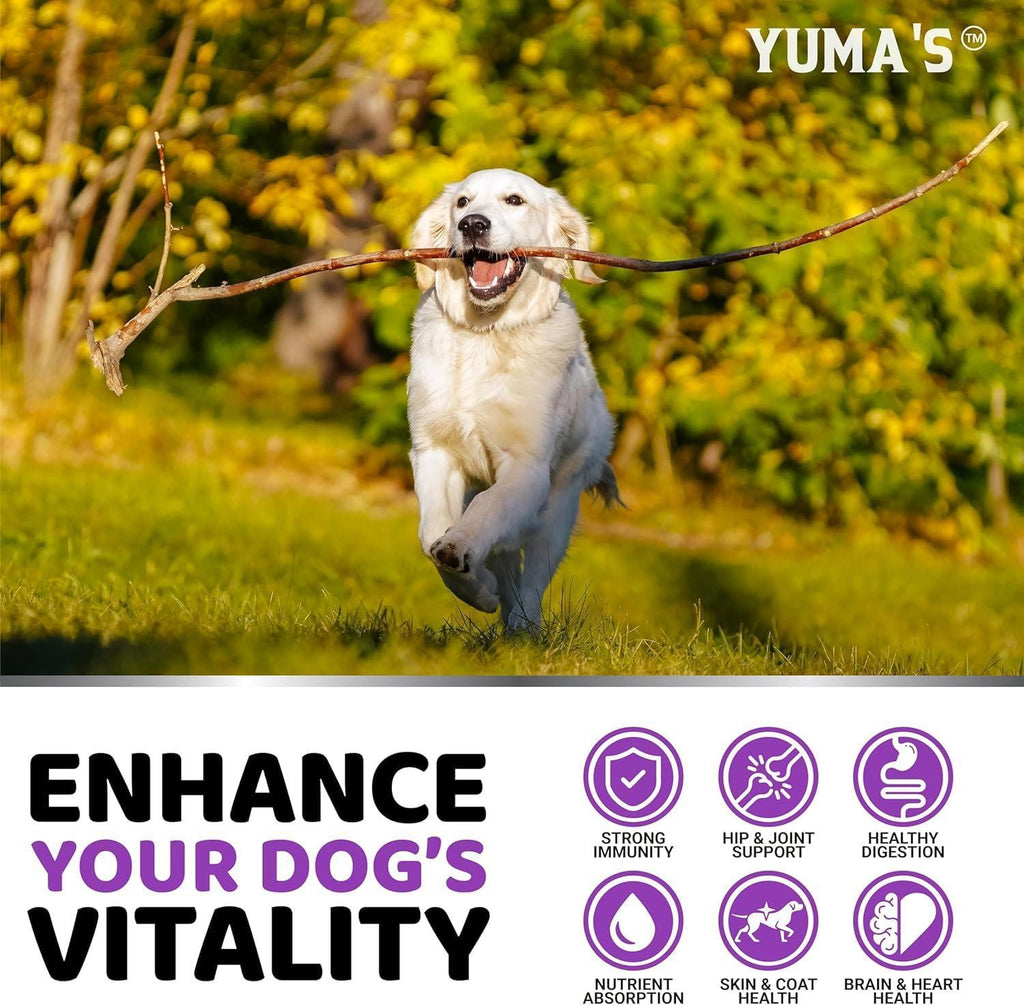 Multivitamin Treats for Dogs 2-Pack