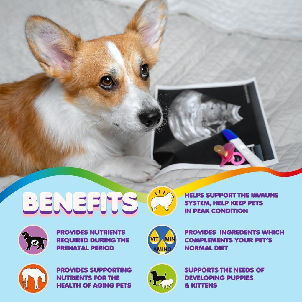 Prenatal Vitamins for Dogs & Cats 60 Pills Folic Acid & Minerals