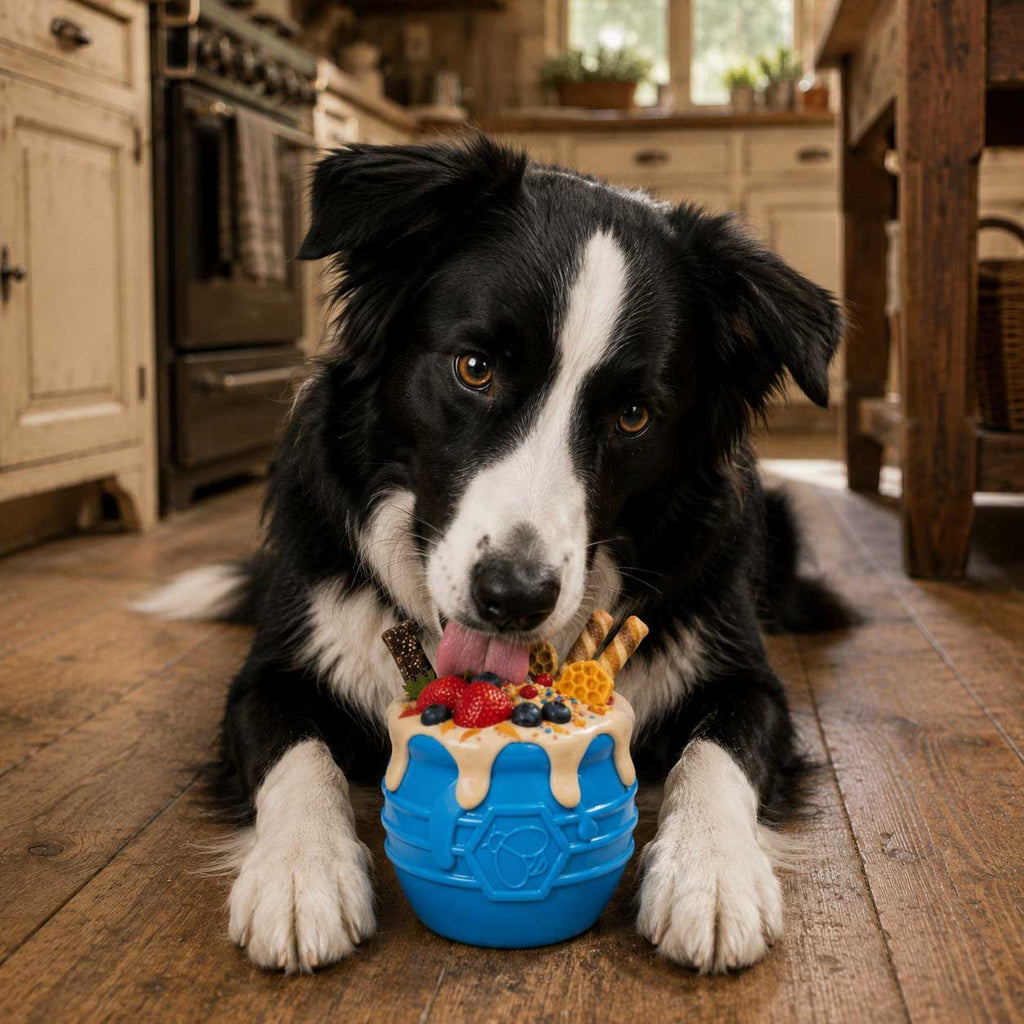 Honey Pot Dog eCup Treat Dispenser | Durable PUP-X Rubber Enrichment Toy | USA Made