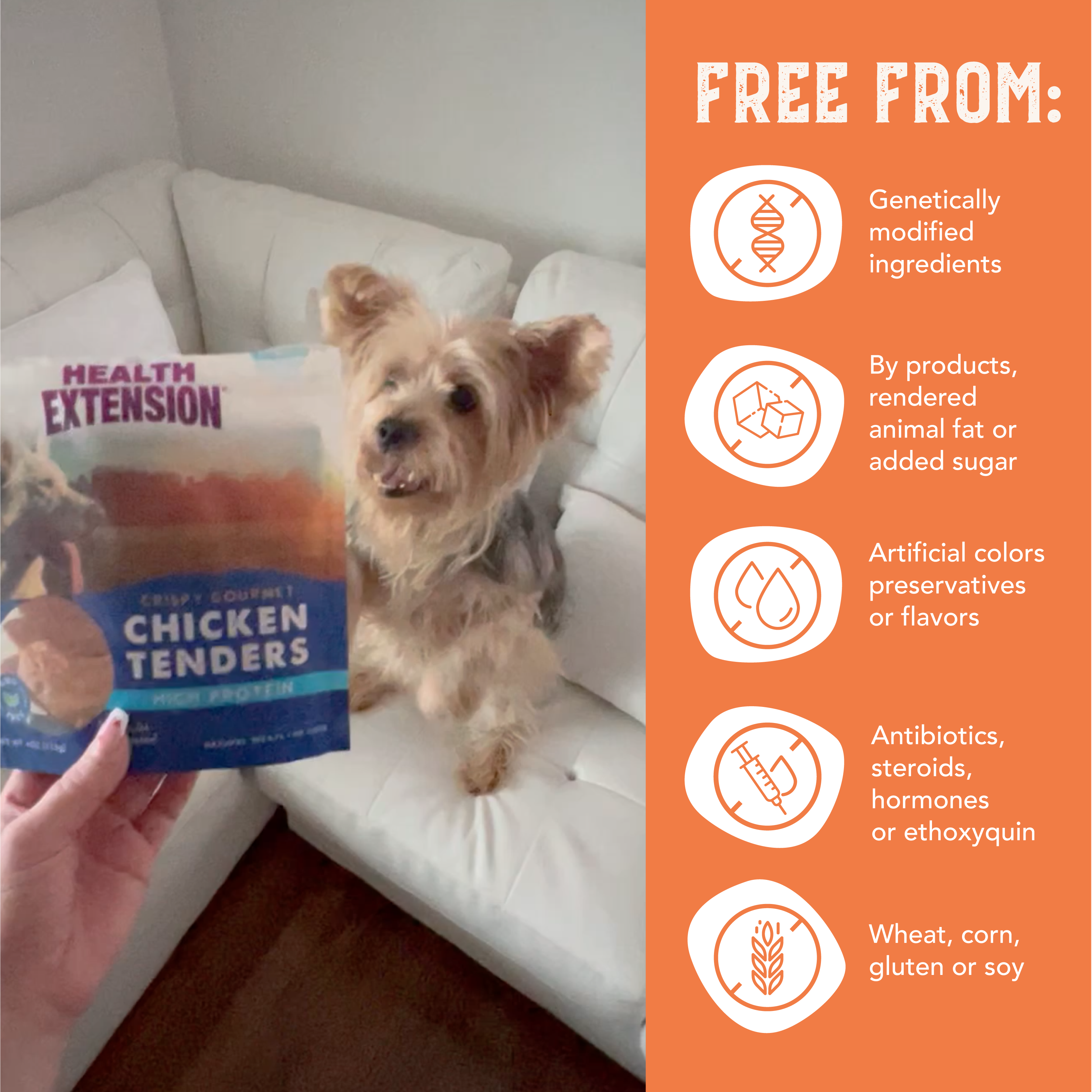 Grain-Free Chicken Tenders Dog Treats