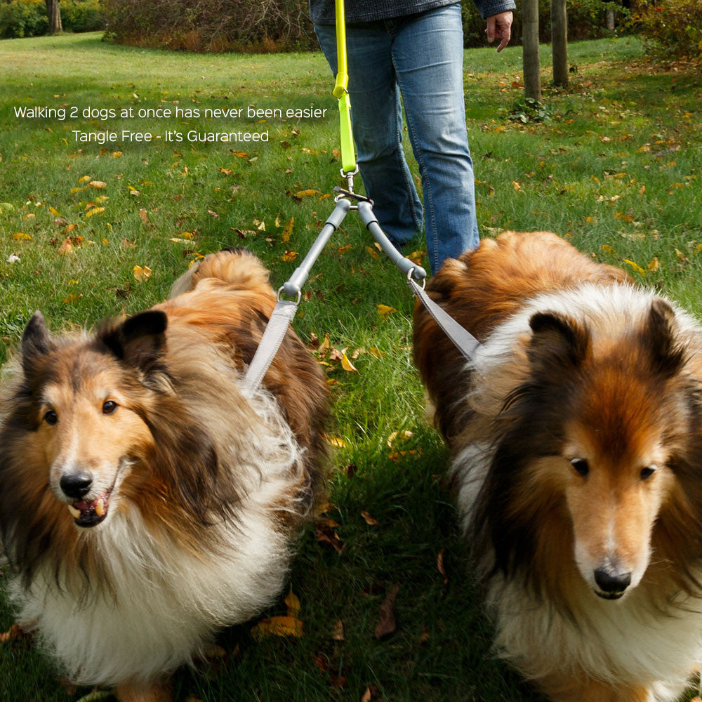 CRAZYcoupl'r - 2 Dogs on 1 Leash