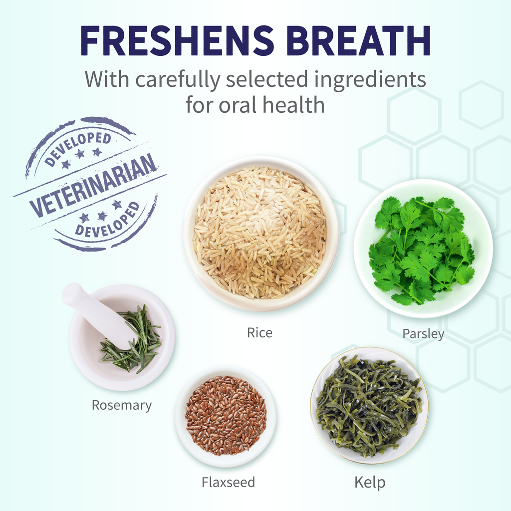 Fresh Breath Dental Bones