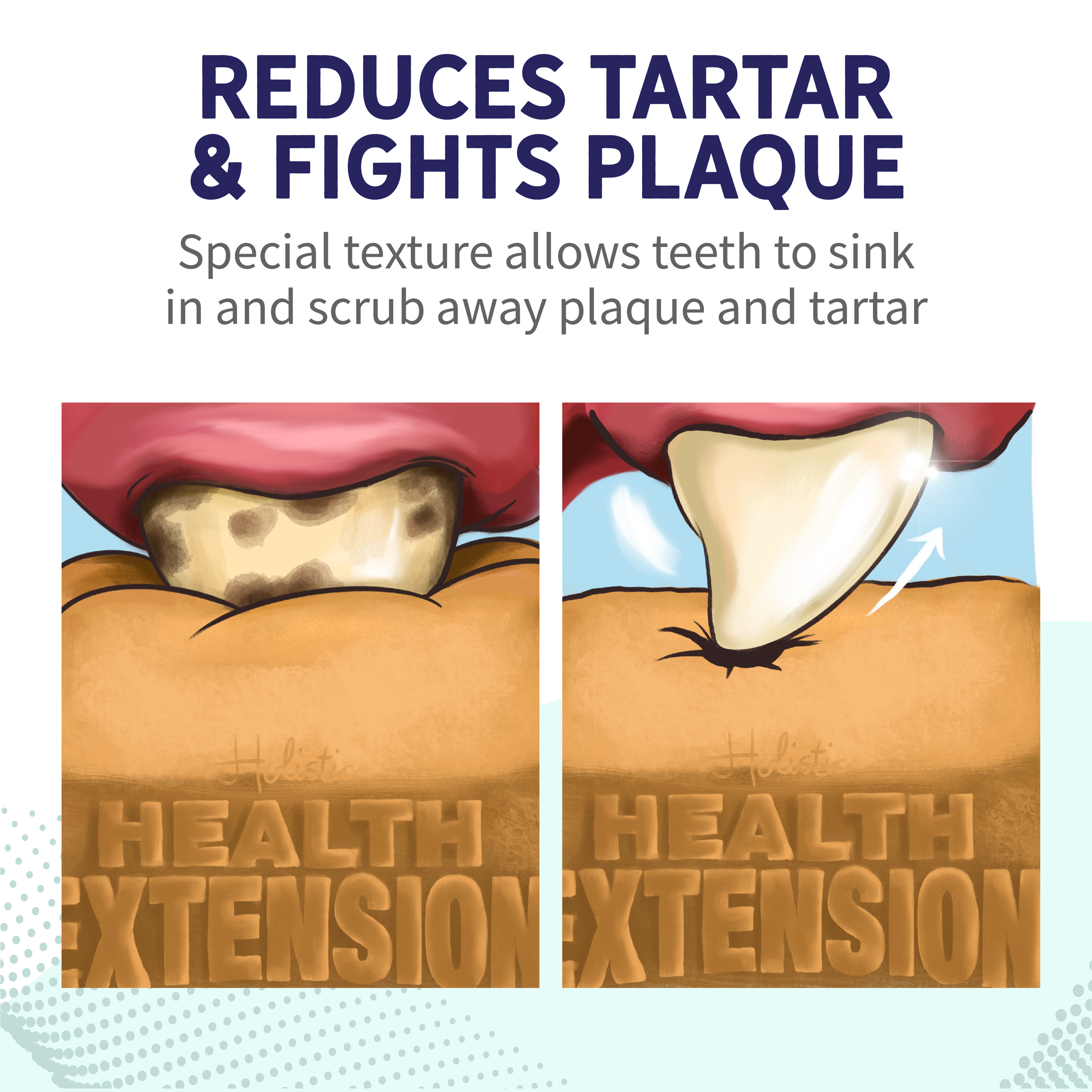 Fresh Breath Dental Bones