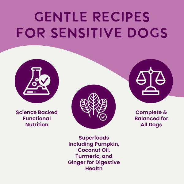 Digestive Support Variety Pack: Chicken, Beef & Turkey
