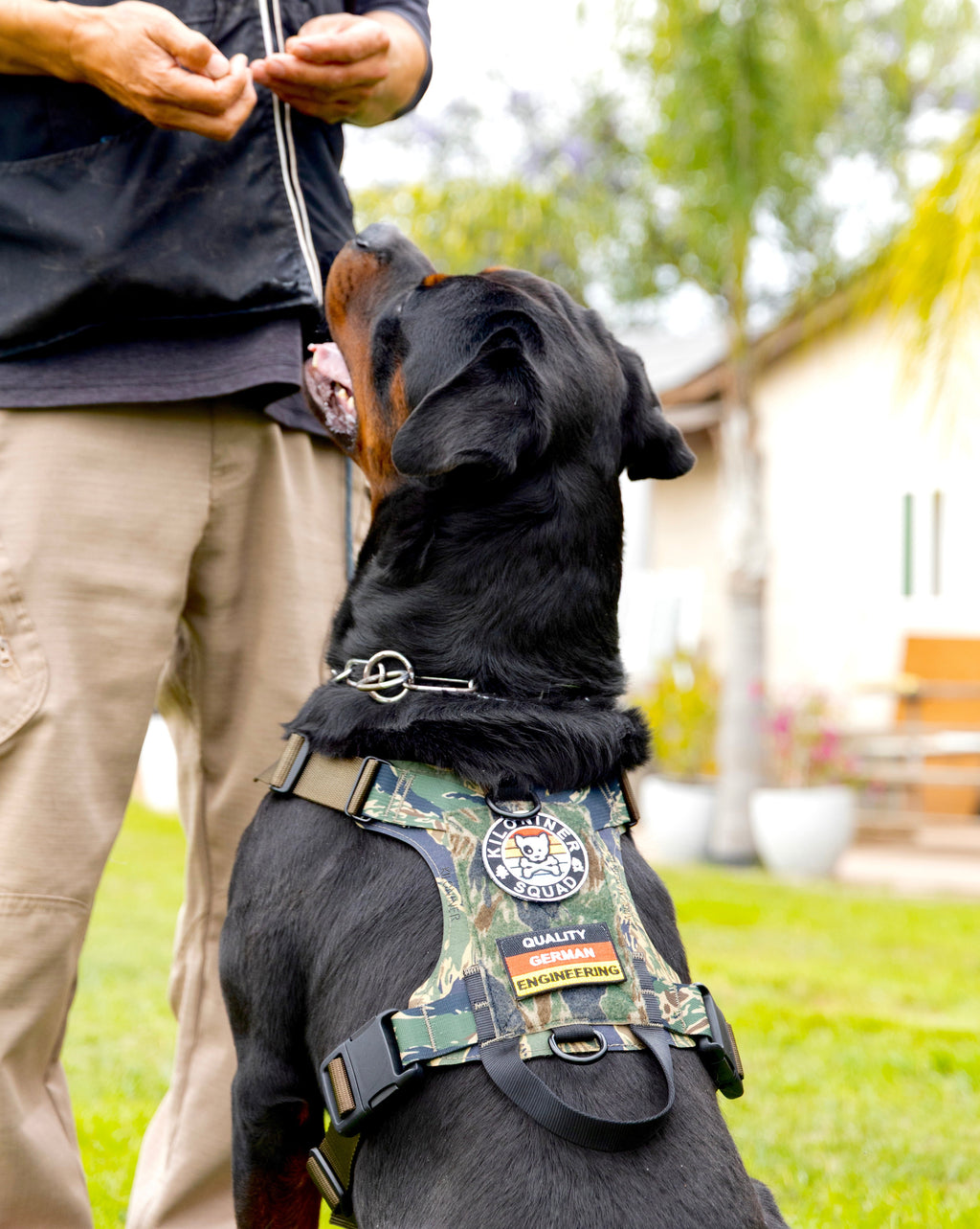 K9R - M1 LightSpeed Harness Large