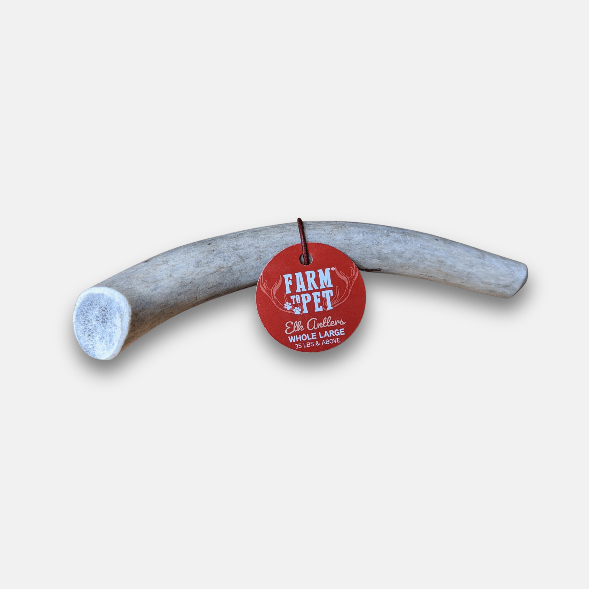 Elk Antler Dog Chews | All-Natural Whole and Split Elk Antler Chews for Dogs