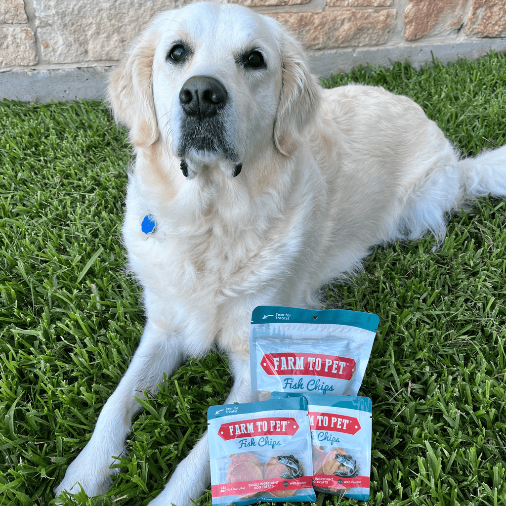 Farm to Pet Dog Treat Bundle