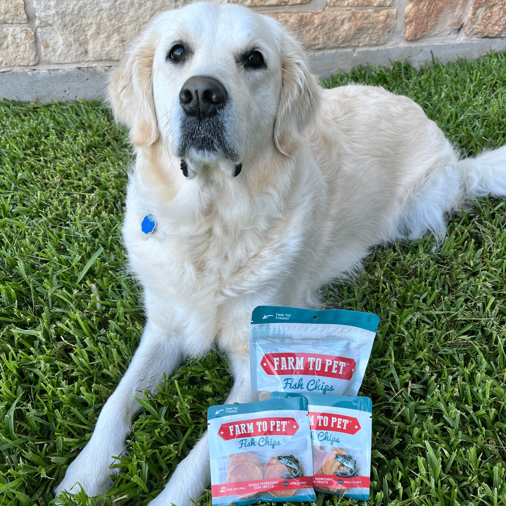 Farm to Pet Dog Treat Bundle