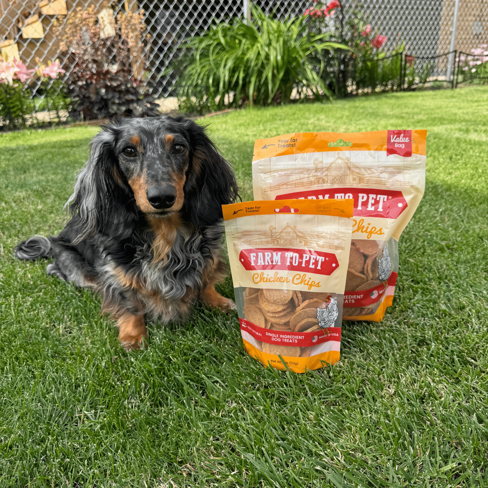 Farm to Pet Dog Treat Bundle