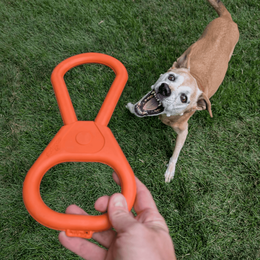 Chew Toys