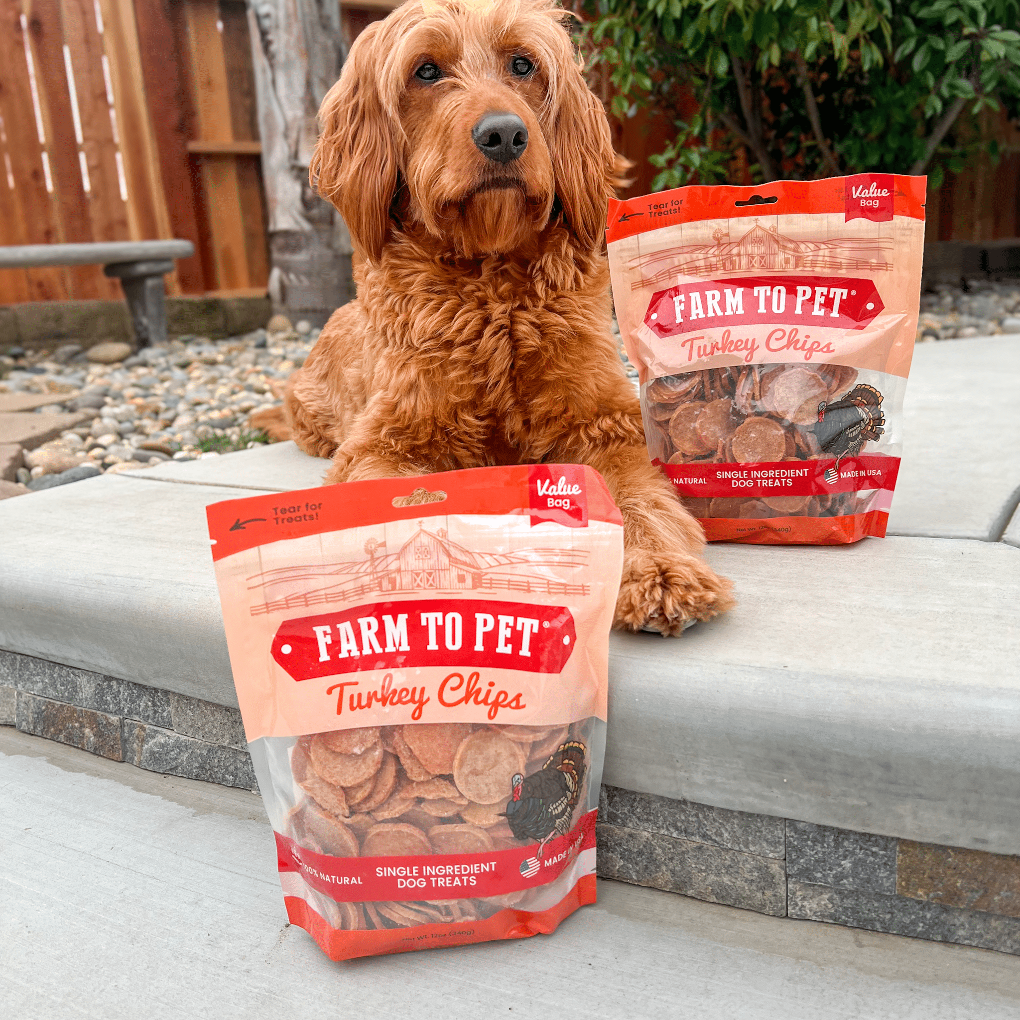 Farm to Pet Dog Treat Bundle