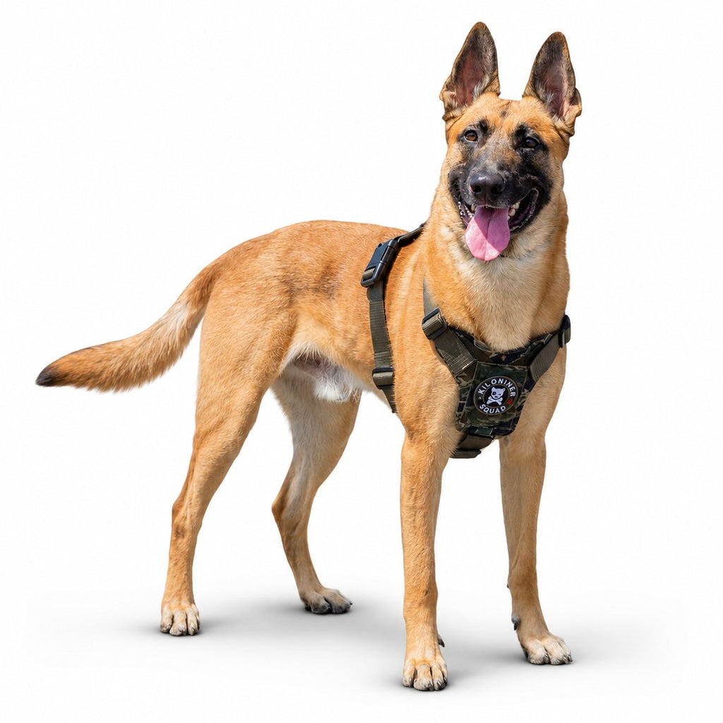 K9R - M1 LightSpeed Harness Large