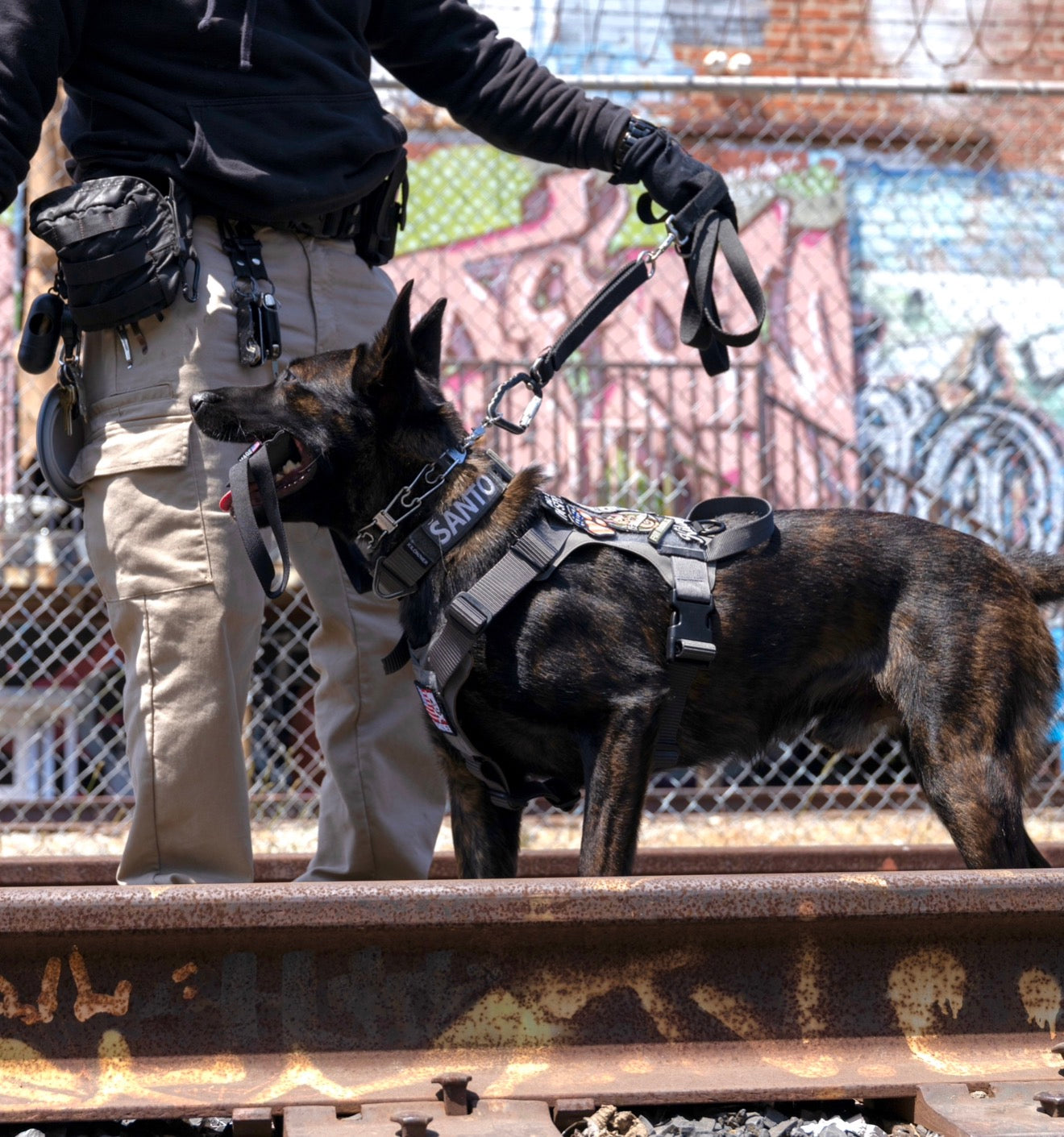 K9R - M1 LightSpeed Harness Large