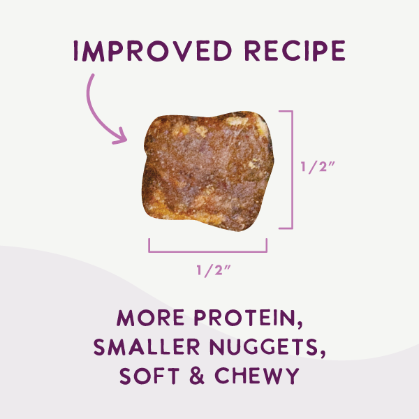 Air Dried Superfoods Beef Recipe