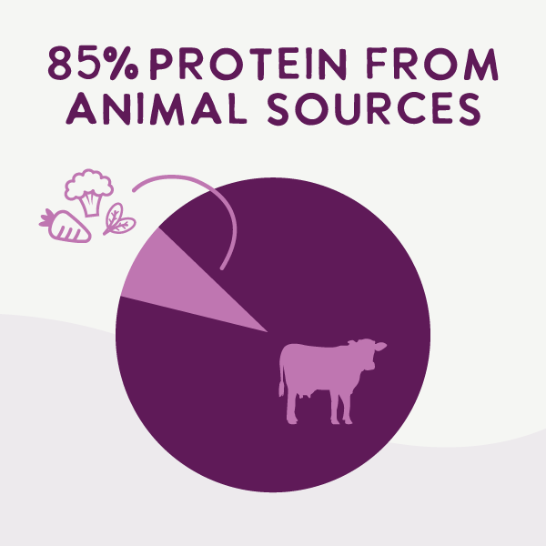 Air Dried Superfoods Beef Recipe