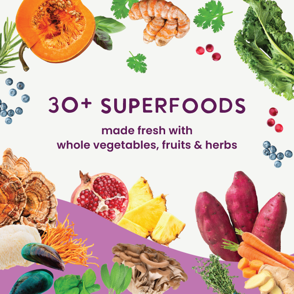 Air Dried Superfoods Beef Recipe