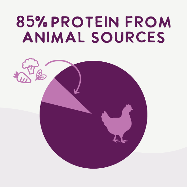Air Dried Superfoods Chicken Recipe