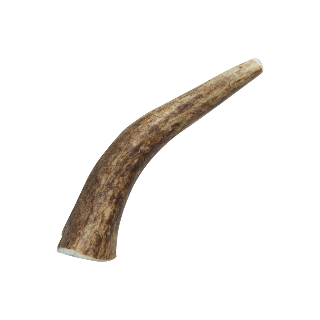Natural Elk Antlers - Whole