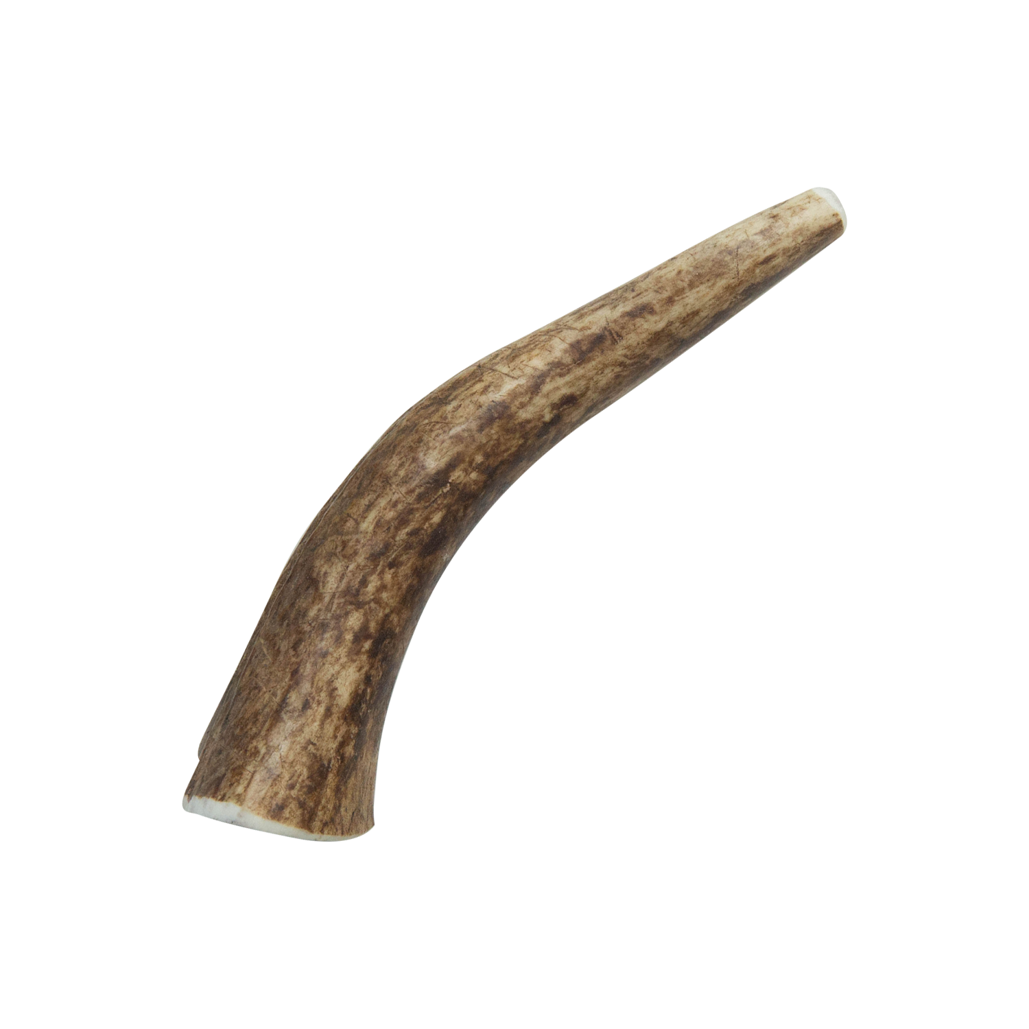 Natural Elk Antlers - Whole