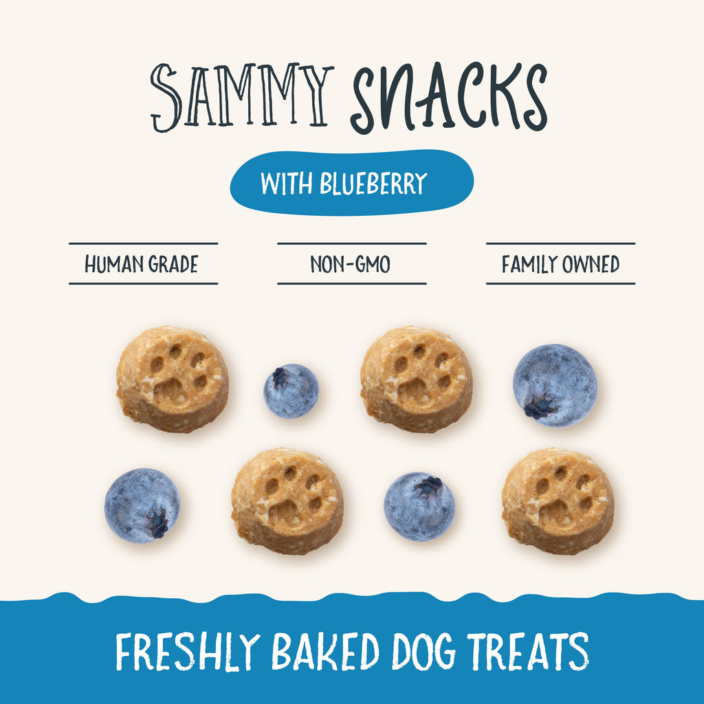 Sammy Snacks With Blueberries