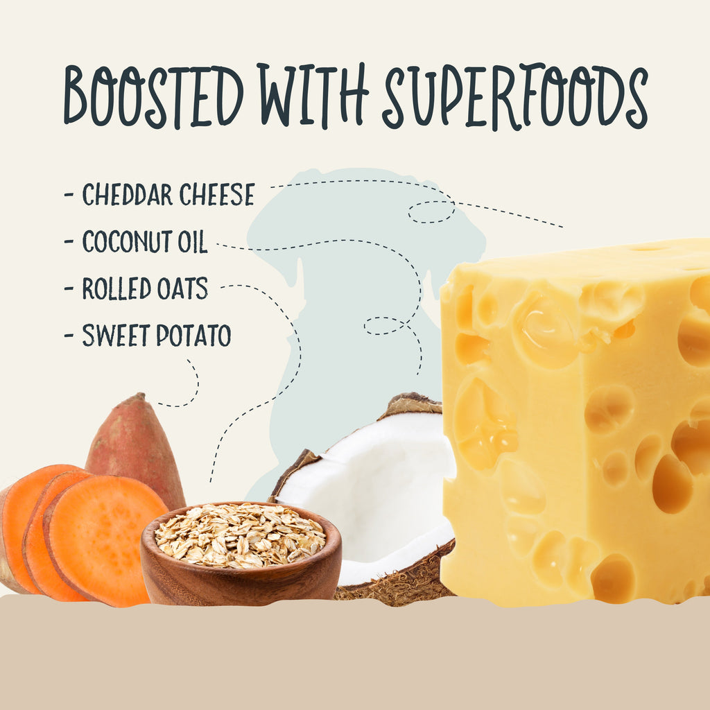 Sammy Snacks With Cheddar Cheese