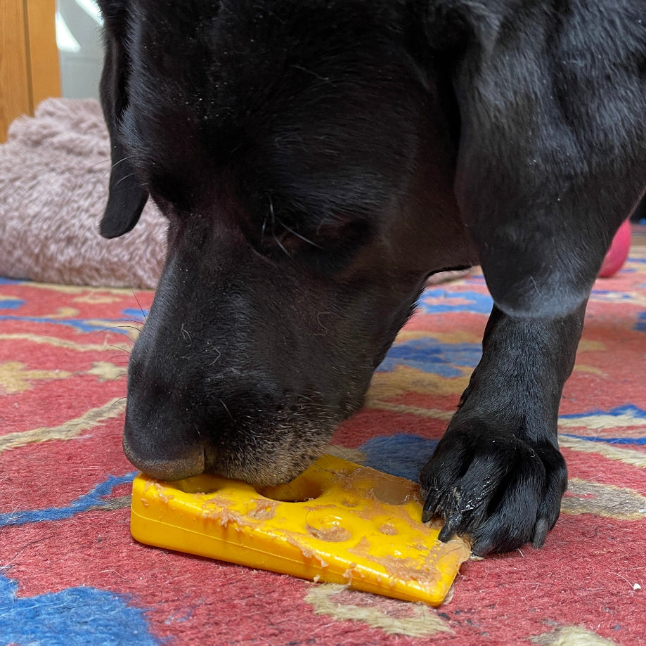 Swiss Cheese Wedge Nylon Dog Chew Toy for Aggressive Chewers | SodaPup