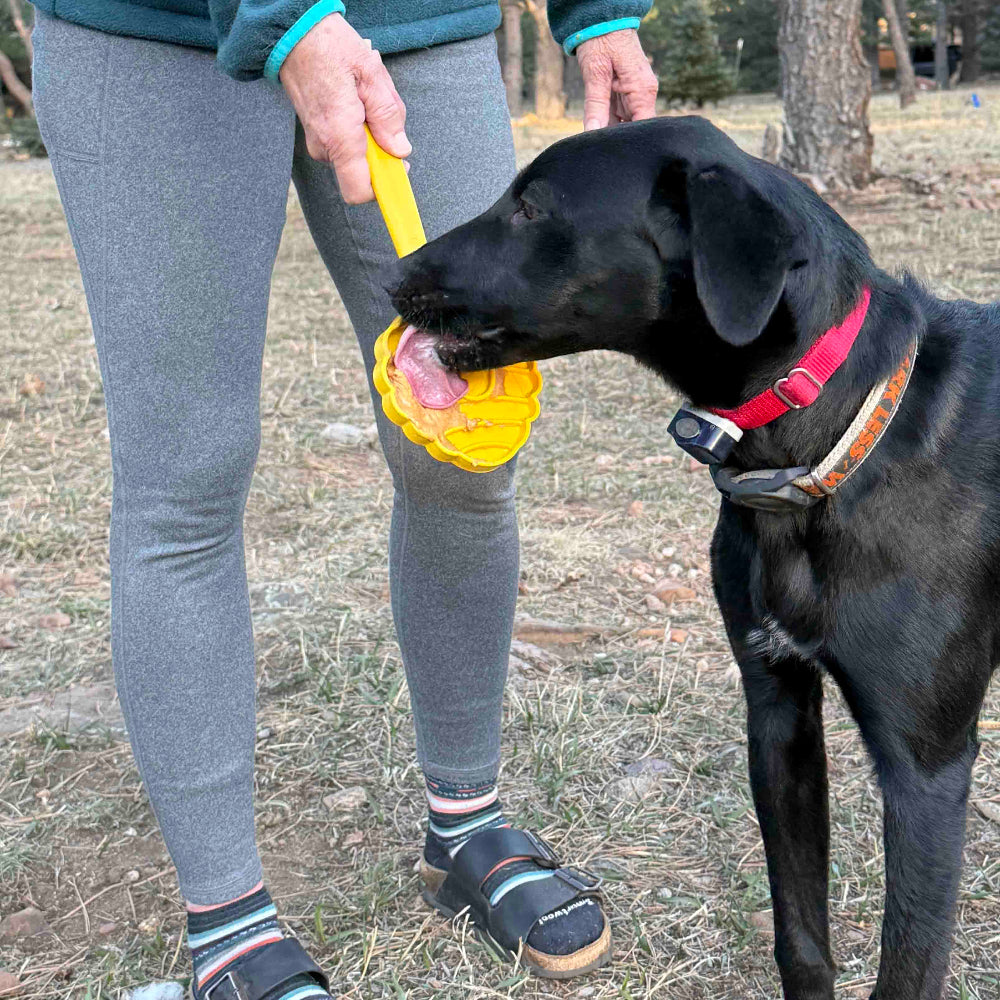 eStick Hand-Held Dog Enrichment Target Training Toy - Interactive Lick Stick | USA Made