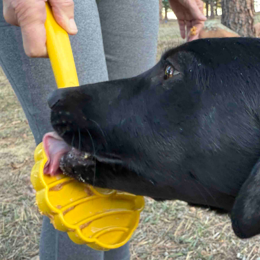 eStick Hand-Held Dog Enrichment Target Training Toy - Interactive Lick Stick | USA Made