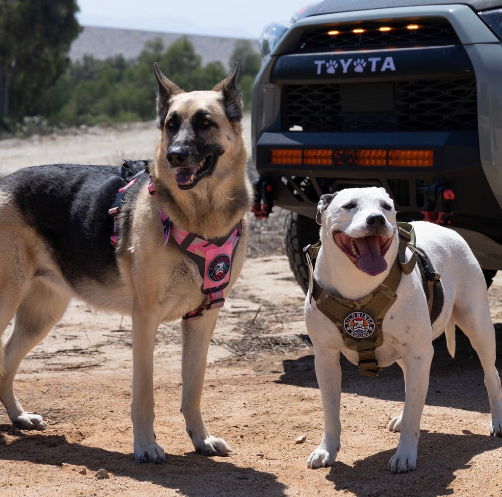 K9R - M1 LightSpeed Harness Large