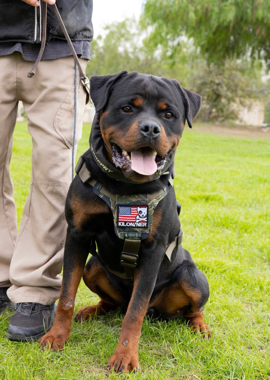 K9R - M1 LightSpeed Harness Large