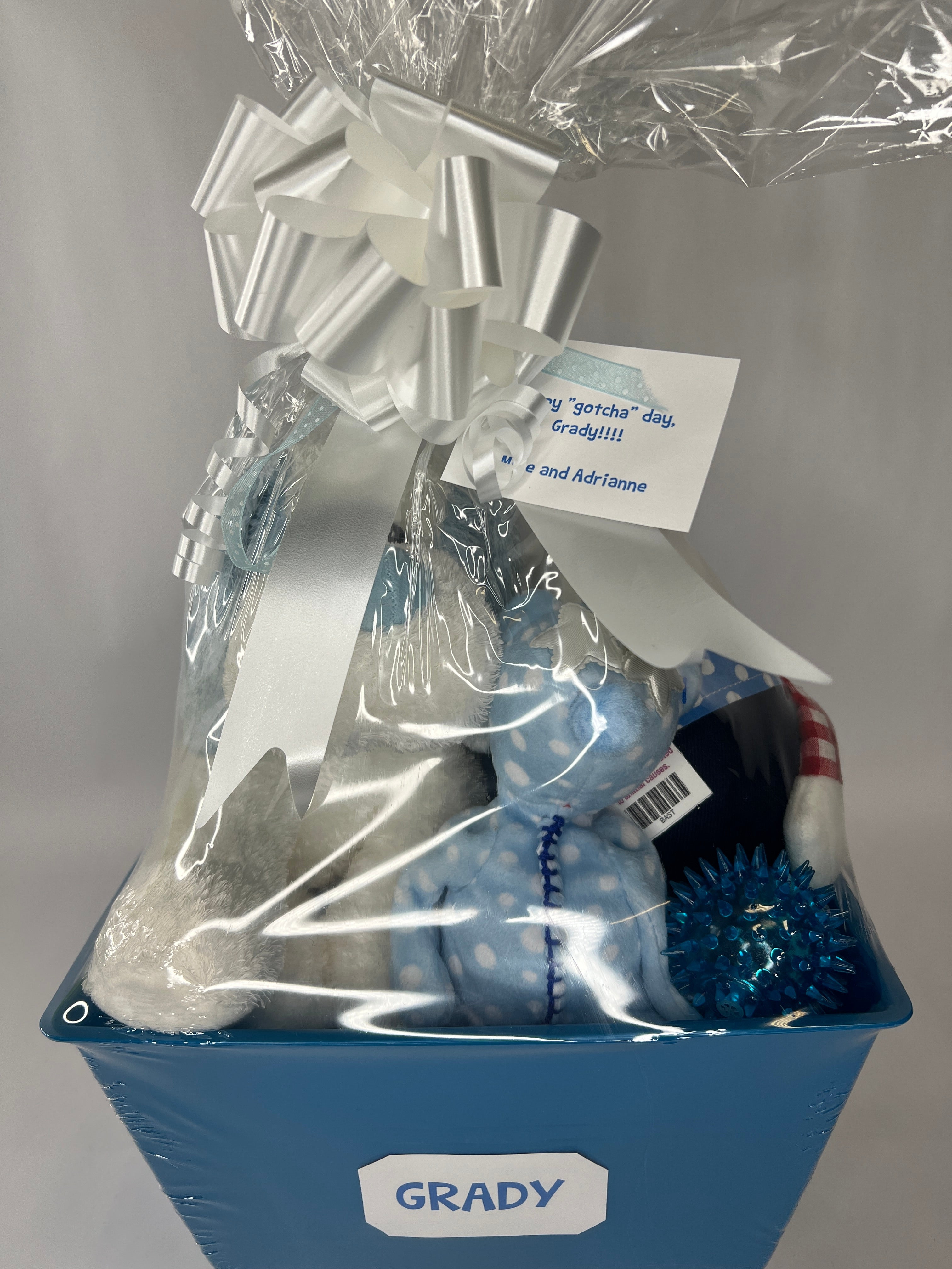 Boy-oh-Boy SQUEAKY Gift Basket for Dogs & Puppies: 3 Sizes
