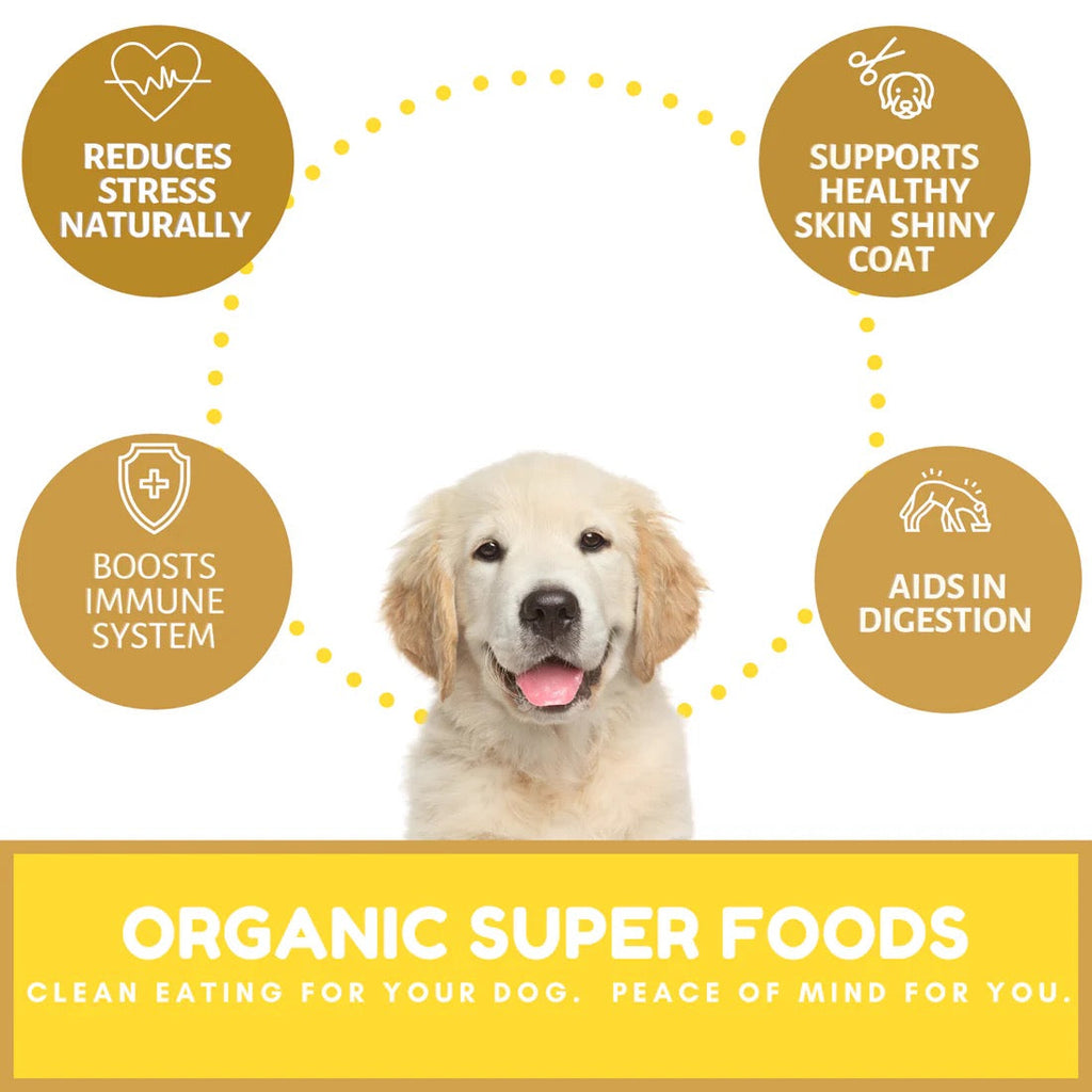 Dog Mamma's Organic Peanut Butter Banana Oven Baked Dog Treats (6oz)