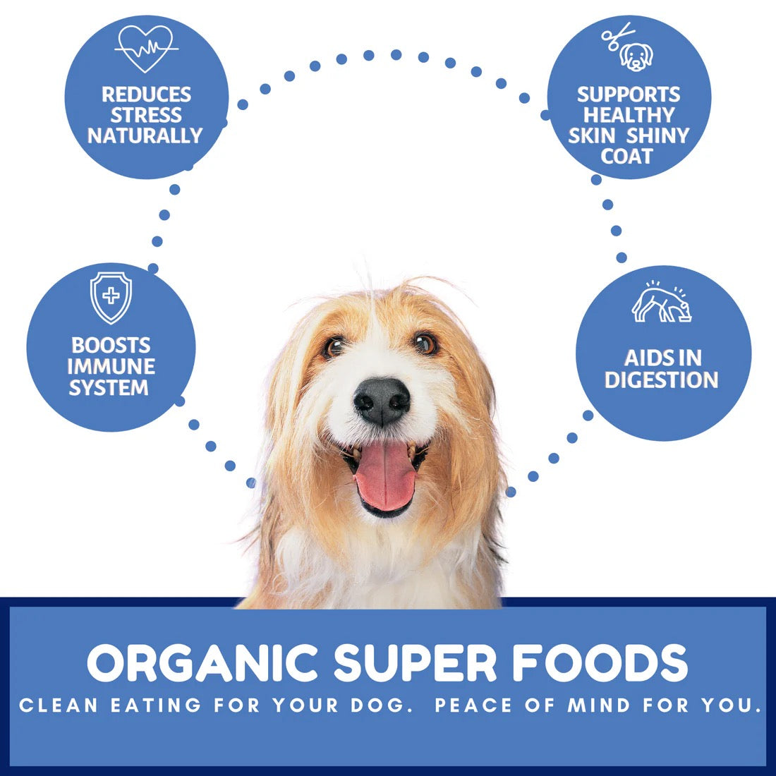 Dog Mamma's Organic Berry Banana Coconut Oven Baked Dog Treats 6oz