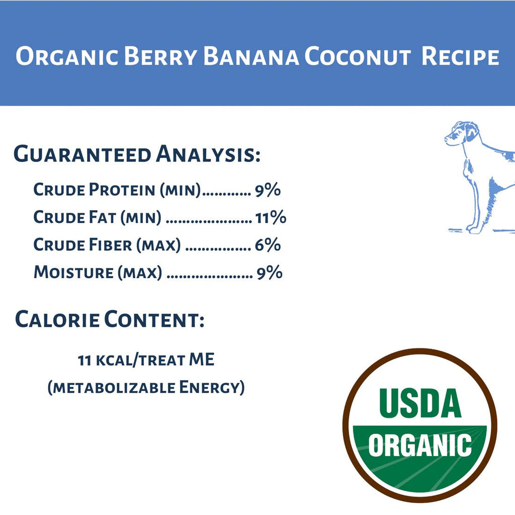 Dog Mamma's Organic Berry Banana Coconut Oven Baked Dog Treats 6oz