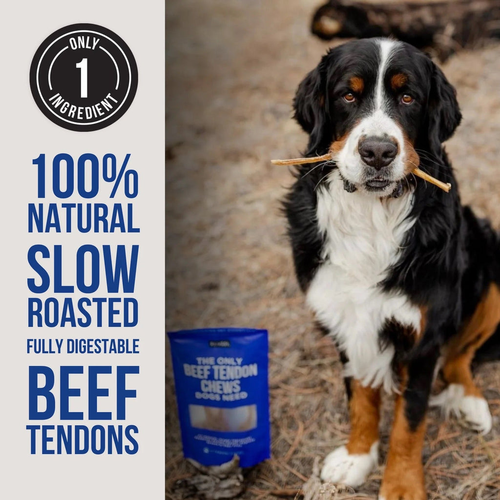 Natural Rapport The Only Beef Tendon Chews Dogs Need Dog Treats (5ct)