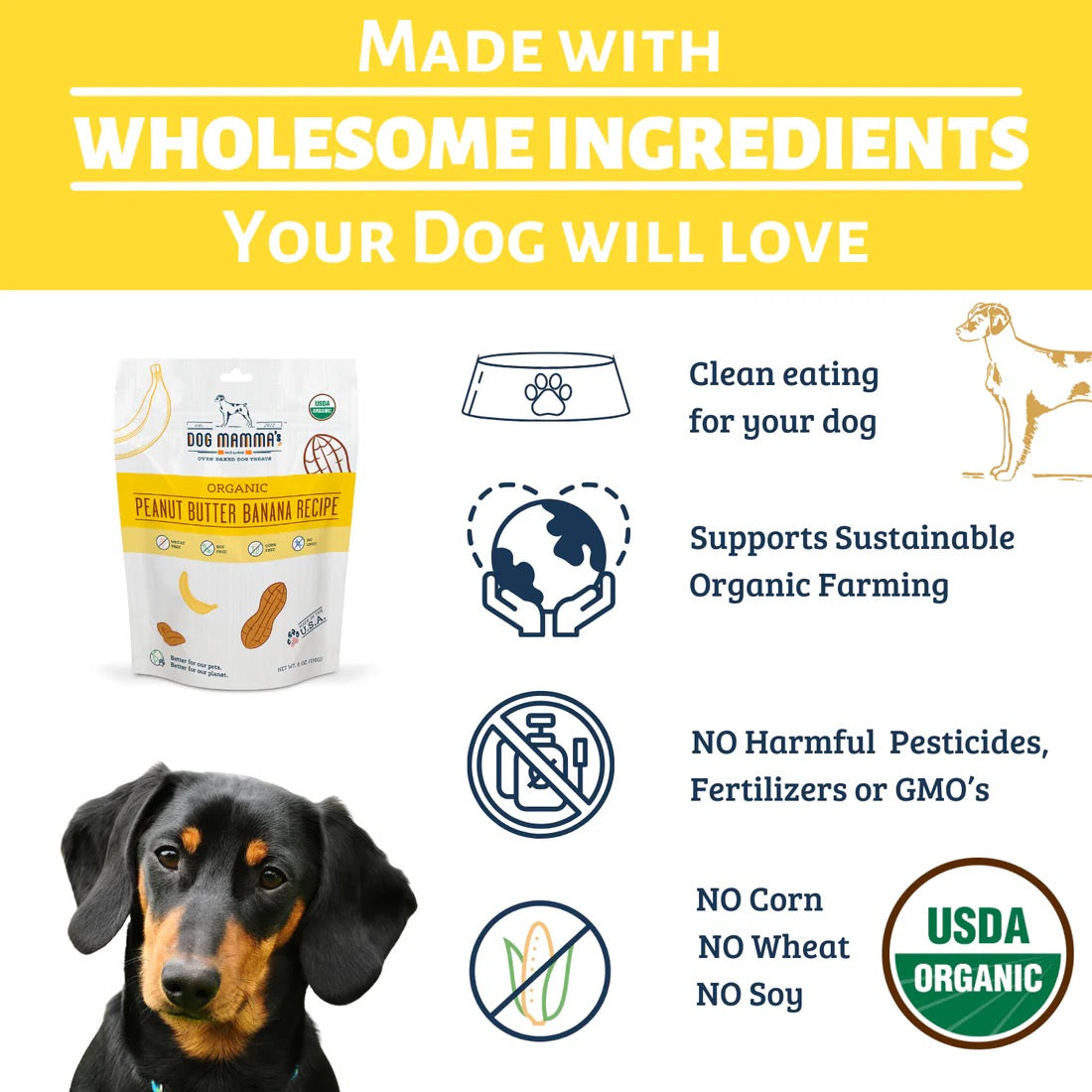 Dog Mamma's Organic Peanut Butter Banana Oven Baked Dog Treats (6oz)