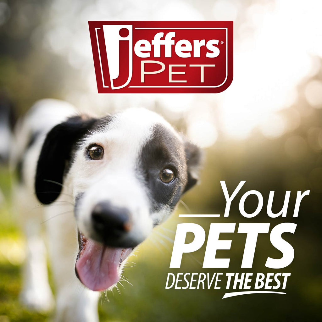 Jeffers Red Classic Stuffable Fetch & Chew Natural Rubber Treat Dispensing Dental Dog Toy