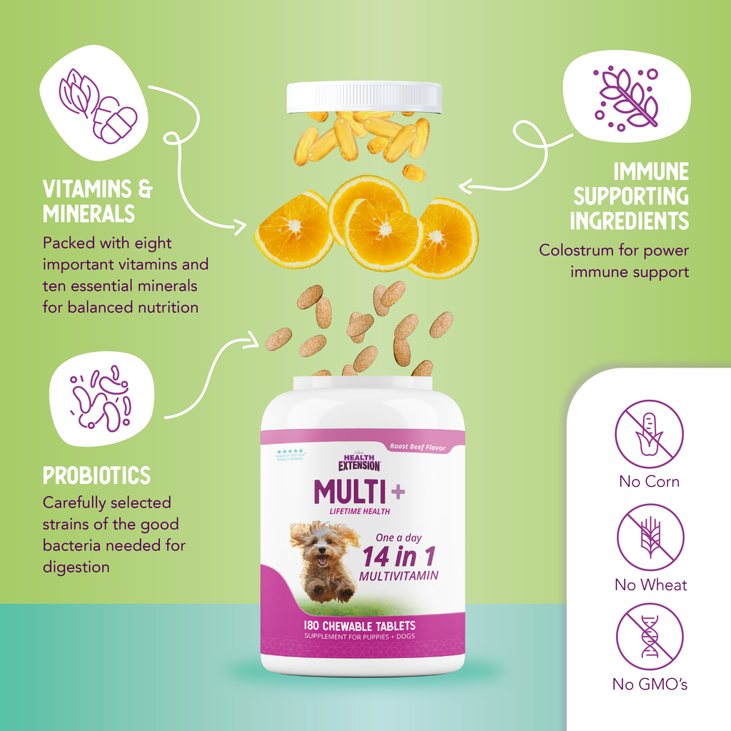 Multi + Lifetime Vitamins