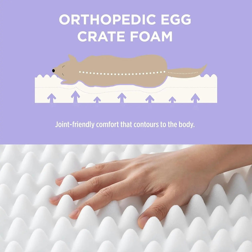 Orthopedic Dog Bed for Large Dogs | Waterproof Plush Mat w/ Washable Cover
