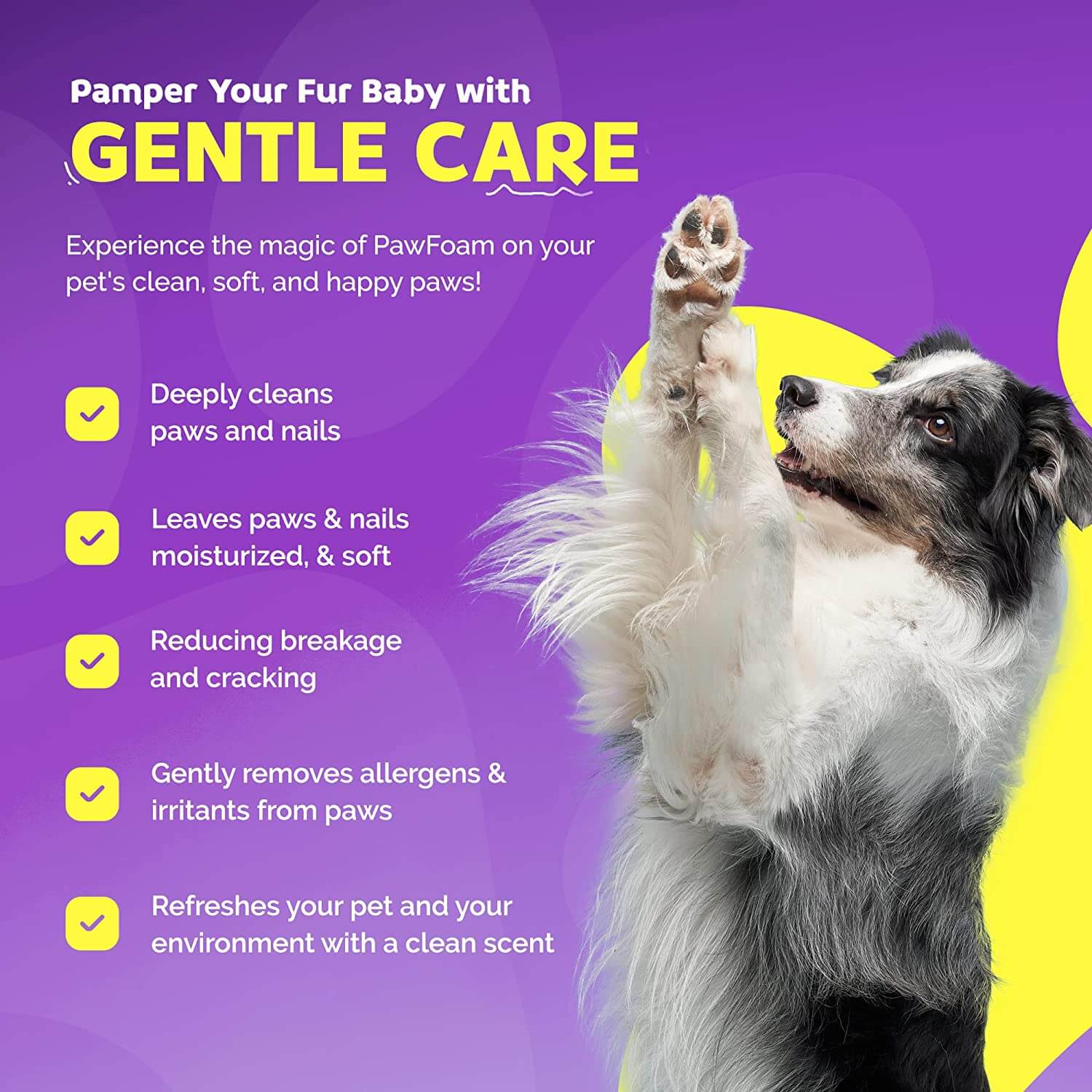 Dog Paw Foam - The Original PawFoam™